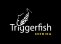 triggerfishbrewing.jpg?w=61&h=45